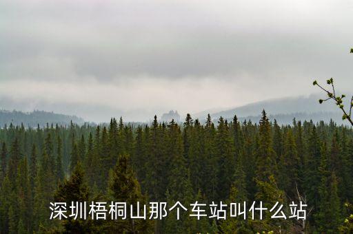 深圳8號線 梧桐山站， 深圳梧桐山那個車站叫什么站