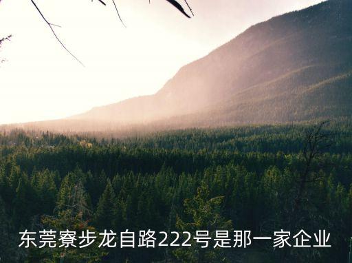 東莞寮步龍自路222號(hào)是那一家企業(yè)