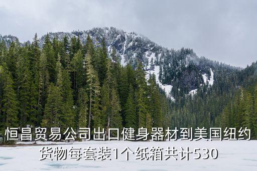 恒昌貿易公司出口健身器材到美國紐約貨物每套裝1個紙箱共計530