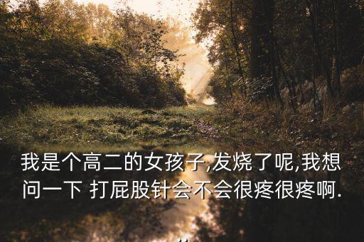 我是個高二的女孩子,發(fā)燒了呢,我想問一下 打屁股針會不會很疼很疼啊...
