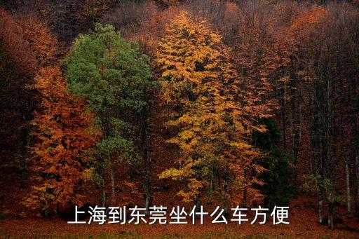 上海到東莞坐什么車方便
