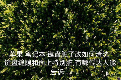 蘋果 筆記本 鍵盤臟了改如何清洗 鍵盤縫隙和面上特別臟,有哪位達人能告訴...