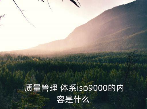 ISO9000質量體系認證,iso9000質量體系認證是什么意思