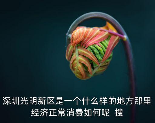 深圳光明怎么樣，深圳市光明新區是個怎么樣的地方生活條件怎么樣