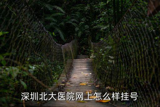 深圳北大醫院網上怎么樣掛號