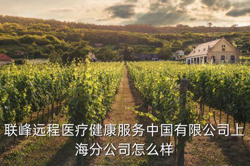聯峰遠程醫療健康服務中國有限公司上海分公司怎么樣