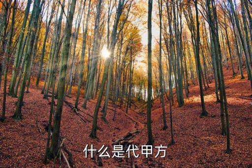 上海市政代甲方，上海的朋友幫忙查一下你們那有沒一家上海貝華市政工程有限公
