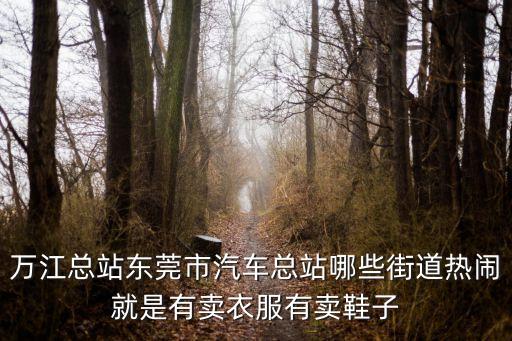 東莞萬江區小吃街，誰知道萬江簡沙洲附近的美食街坐38路車在哪一站下啊