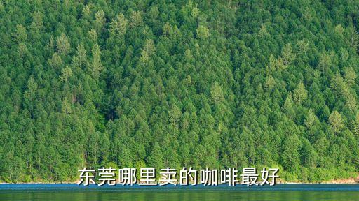 東莞咖啡館哪家最好，東莞哪里賣的咖啡最好