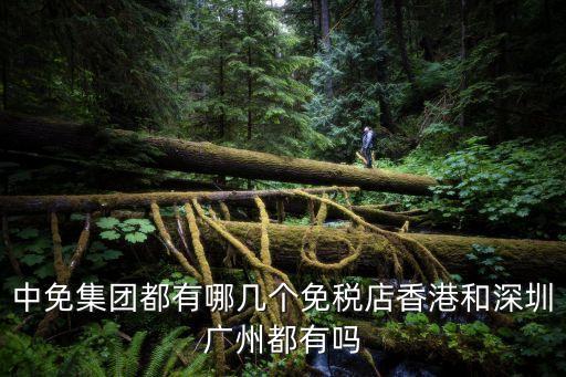 中免集團都有哪幾個免稅店香港和深圳廣州都有嗎