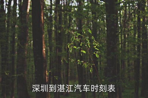 深圳到湛江汽車時(shí)刻表