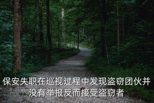 保安失職在巡視過程中發現盜竊團伙并沒有舉報反而接受盜竊者