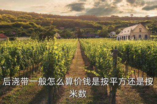 東莞后澆帶收口網單價，后澆帶一般怎么算價錢是按平方還是按米數