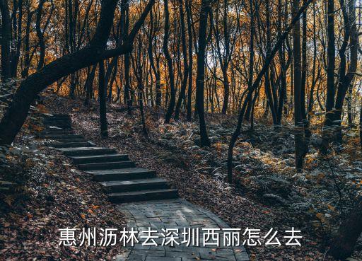 惠州瀝林去深圳西麗怎么去