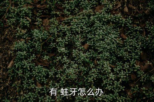 有 蛀牙怎么辦