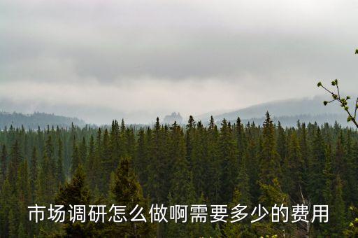 市場調(diào)研怎么做啊需要多少的費用