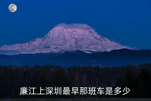 廉江至深圳 旅游大巴，廉江到深圳汽車