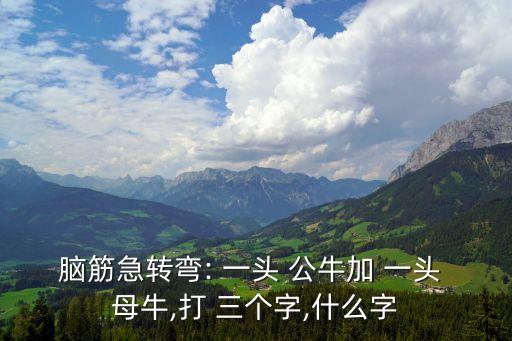 一頭公牛加一頭母牛猜三個字