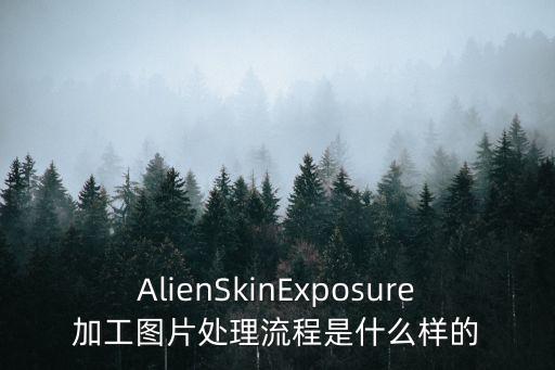 AlienSkinExposure加工圖片處理流程是什么樣的