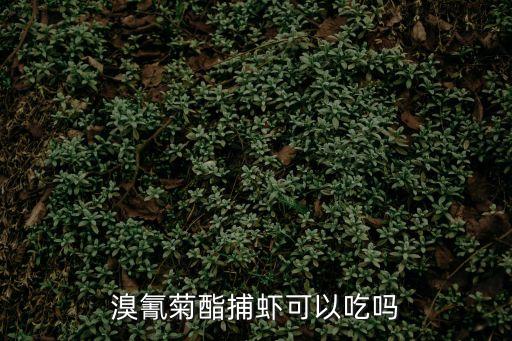 溴氰菊酯捕蝦可以吃嗎