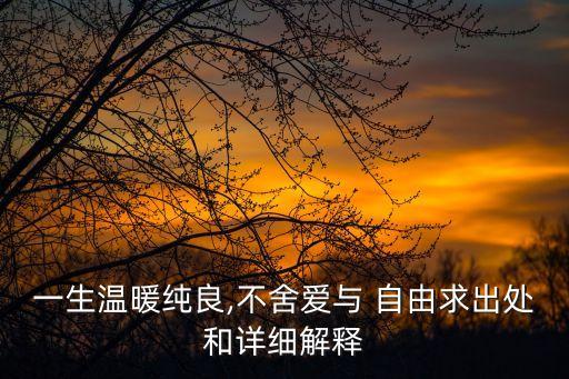 一生溫暖純良,不舍愛與 自由求出處和詳細解釋