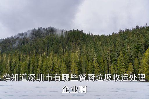深圳市餐廚垃圾處理單位，深圳市垃圾處理廠在那里