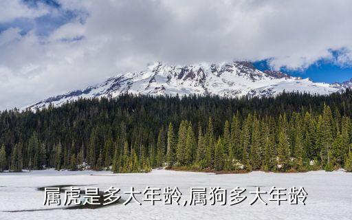 虎年幾歲,虎年生肖年份歲數(shù)表出爐!