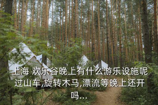 上海歡樂谷過山車