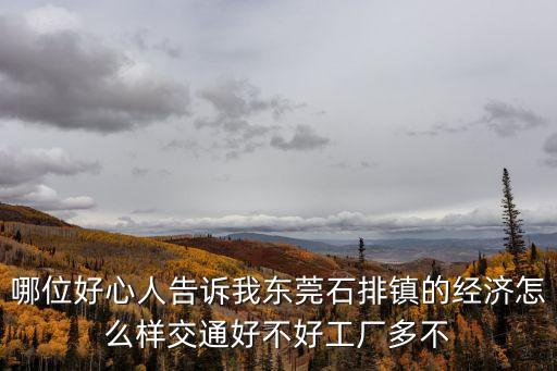 哪位好心人告訴我東莞石排鎮的經濟怎么樣交通好不好工廠多不