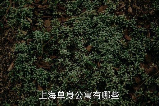 上海市區一手公寓，上海買一個單身公寓要多少錢30平方左右哪里有賣