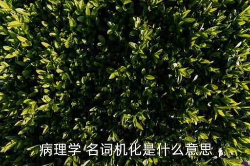 病理學(xué)名詞解釋,ulcer病理學(xué)名詞解釋