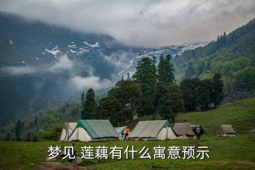  夢見 蓮藕有什么寓意預示
