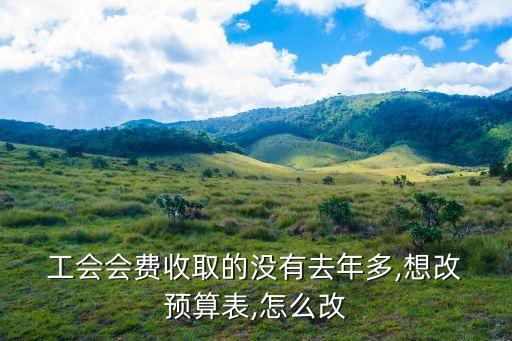  工會會費收取的沒有去年多,想改 預算表,怎么改