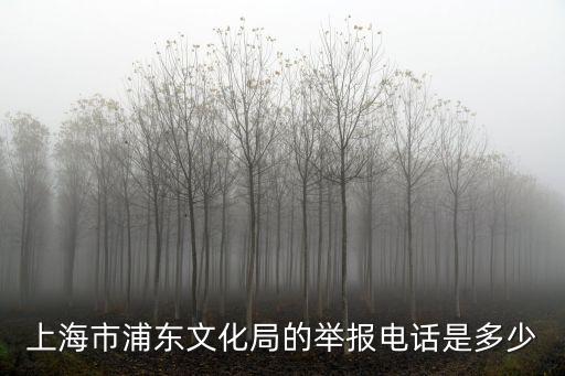 上海市浦東文化局的舉報電話是多少