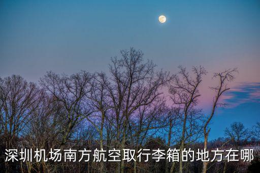 深圳 行李保管箱，深圳 行李箱 哪里有的批發哪