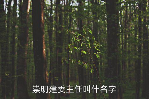 崇明建委主任叫什名字