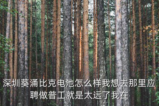 深圳葵涌比克電池廠，深圳葵涌比克電池怎么樣我想去那里應聘做普工就是太遠了我在