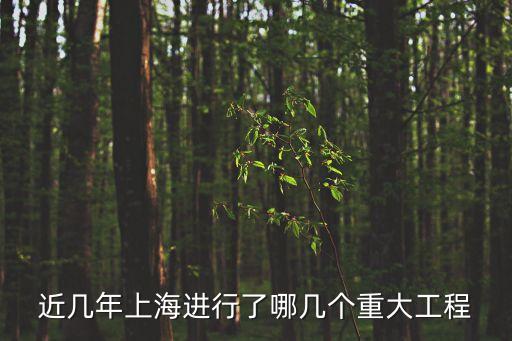 近幾年上海進行了哪幾個重大工程