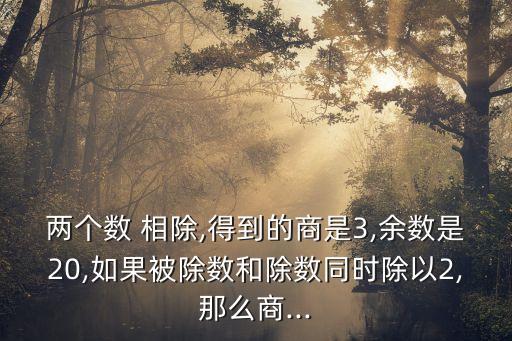 兩個數(shù) 相除,得到的商是3,余數(shù)是20,如果被除數(shù)和除數(shù)同時除以2,那么商...