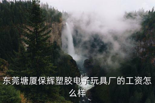 東莞塘廈保輝塑膠電子玩具廠的工資怎么樣