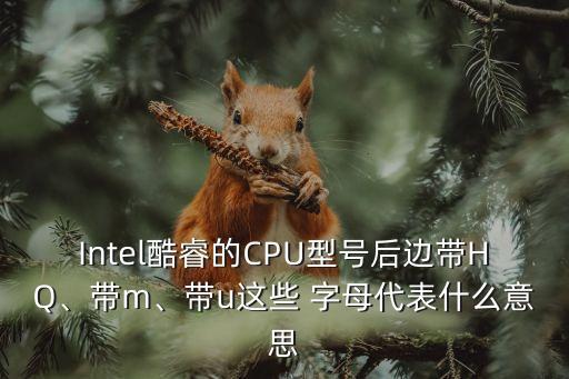 cpu后面的字母,英特爾處理器后綴數(shù)字和字母代表著什么?