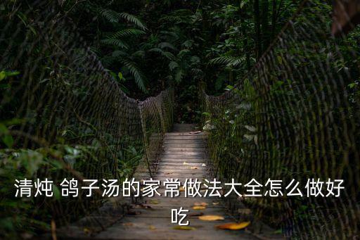 清燉 鴿子湯的家常做法大全怎么做好吃
