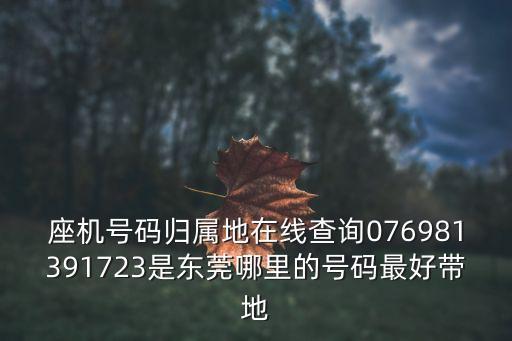 座機號碼歸屬地在線查詢076981391723是東莞哪里的號碼最好帶地
