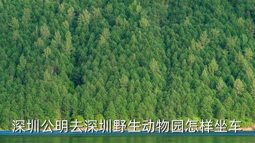 深圳野生動物園坐什么車較快，深圳動物園可以坐什么車去