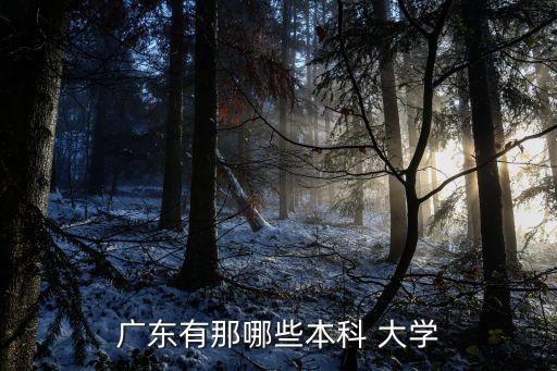 廣東省的大學(xué),廣東前十大學(xué)?本地大學(xué)有哪些?