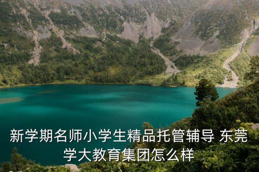 東莞學車輪餅，新學期名師小學生精品托管輔導 東莞學大教育集團怎么樣
