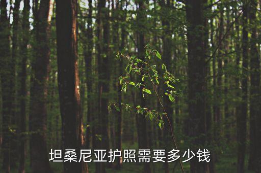 坦桑尼亞護(hù)照需要多少錢