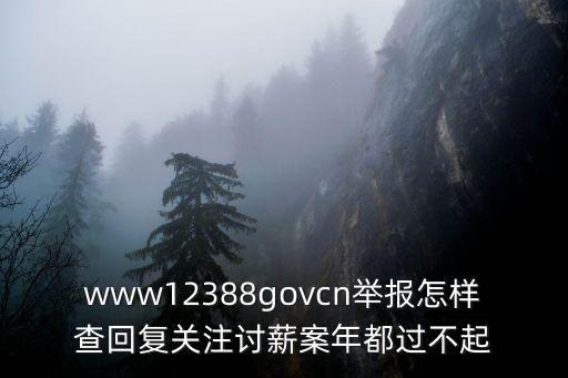 www12388govcn舉報怎樣查回復關注討薪案年都過不起