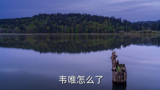 韋唯,父親參加過抗美援朝戰爭老紅軍遺憾退出熒屏韓唯哭著說