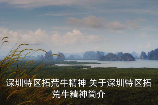 深圳特區(qū)拓荒牛精神 關(guān)于深圳特區(qū)拓荒牛精神簡介
